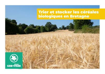 Trier et stocker les céréales biologiques en Bretagne