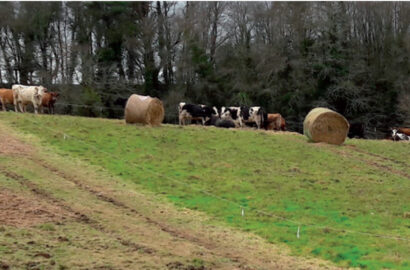 Capture d’écran 2025-02-03 162818