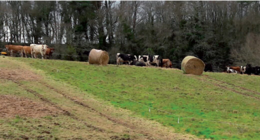 Capture d’écran 2025-02-03 162818